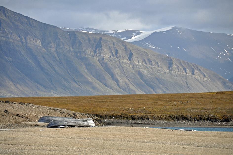 D:\DataFoto\Foto's - Reizen\2018-07-18 Spitsbergen\22 Ahlstrandhalfoya\Best Of\SPIT3938y.jpg