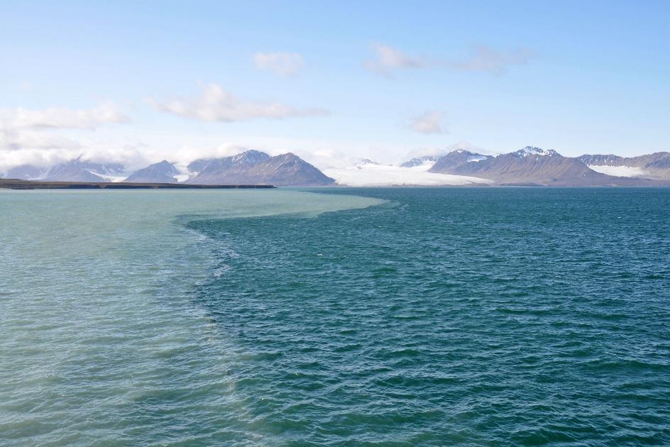 D:\DataFoto\Foto's - Reizen\2018-07-18 Spitsbergen\22 Ahlstrandhalfoya\Best Of\SPIT3993y.jpg