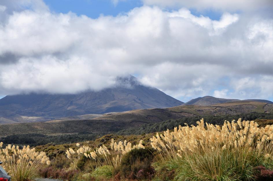 D:\DataFoto\Foto's - Reizen\2019-03-07 Nieuw-Zeeland\07 Tongariro NP\Best Of\NWZL0871x.jpg