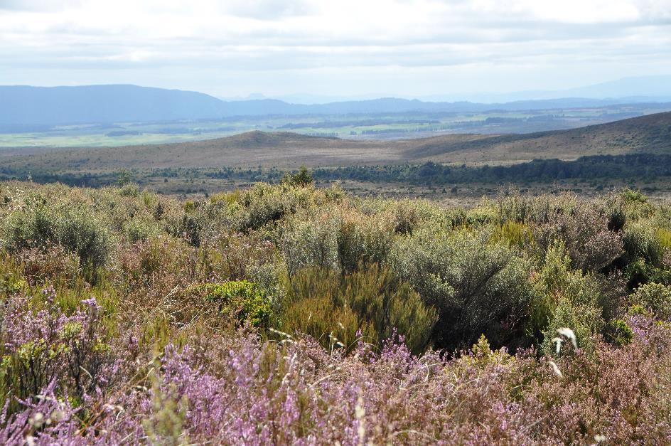 D:\DataFoto\Foto's - Reizen\2019-03-07 Nieuw-Zeeland\07 Tongariro NP\Best Of\NWZL0897x.jpg