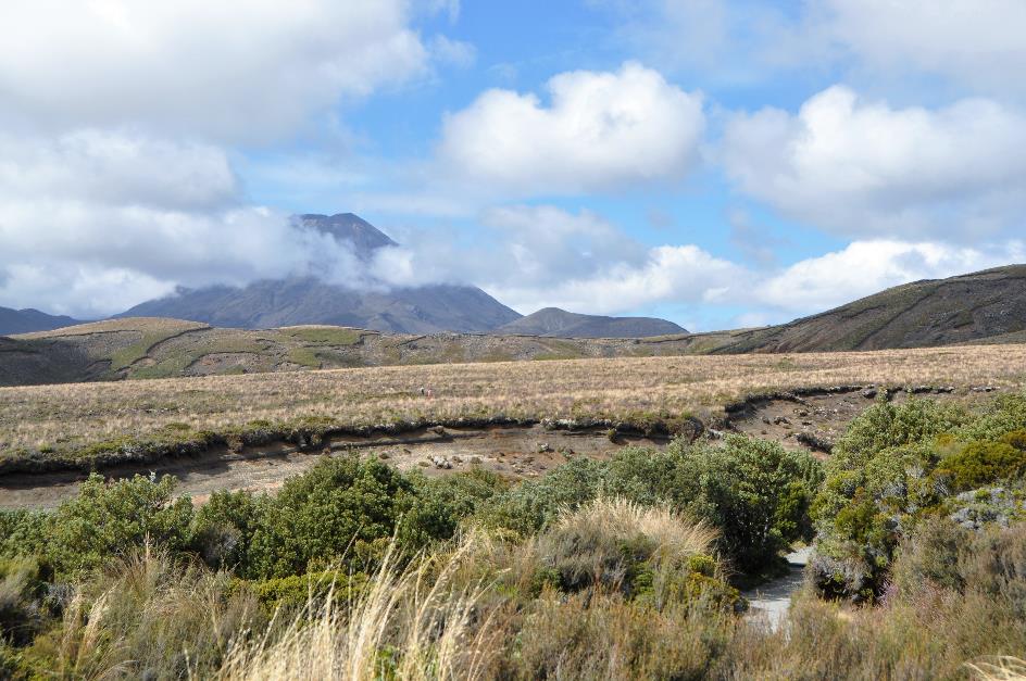 D:\DataFoto\Foto's - Reizen\2019-03-07 Nieuw-Zeeland\07 Tongariro NP\Best Of\NWZL0940x.jpg