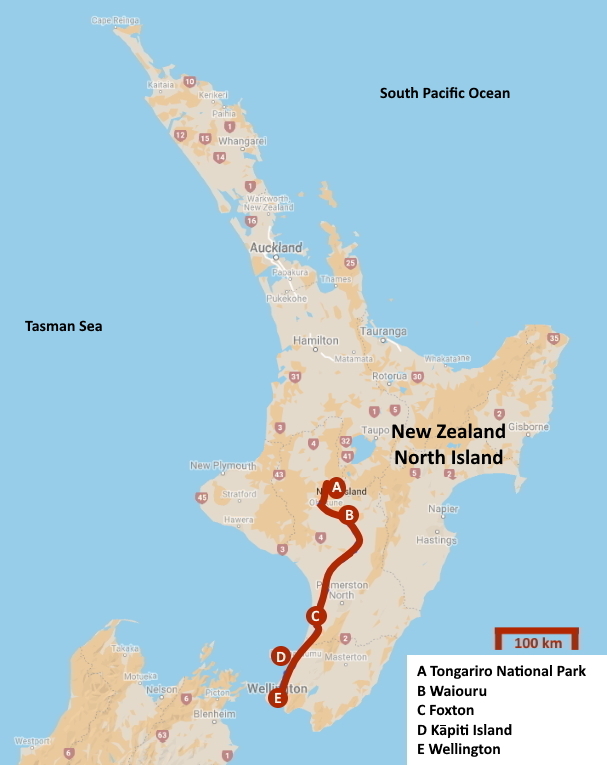 D:\DataReizen\Pacomaja\Ontwikkeling\60 NieuwZeeland\Bronversies\6004 EN (jpg) Wellington.jpg