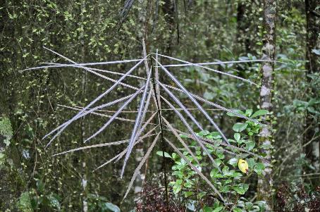 D:\DataFoto\Foto's - Reizen\2019-03-07 Nieuw-Zeeland\12 Pelorus Bridge\Best Of\NWZL1587y.jpg