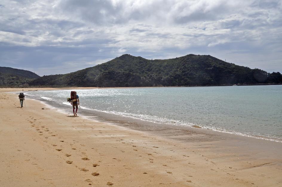 D:\DataFoto\Foto's - Reizen\2019-03-07 Nieuw-Zeeland\13 Abel Tasman NP\Best Of\NWZL1650x.jpg