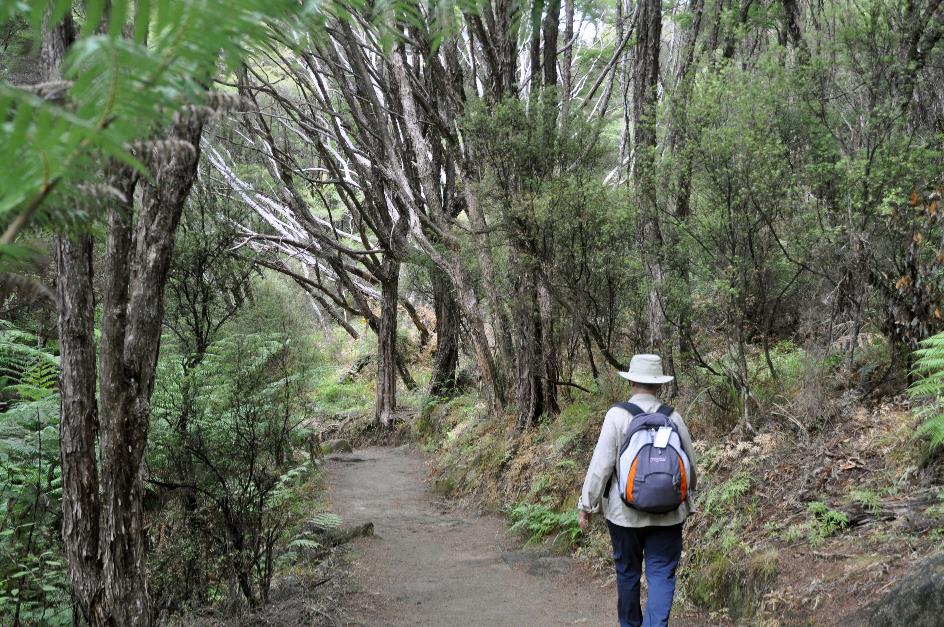 D:\DataFoto\Foto's - Reizen\2019-03-07 Nieuw-Zeeland\13 Abel Tasman NP\Best Of\NWZL1699x.jpg