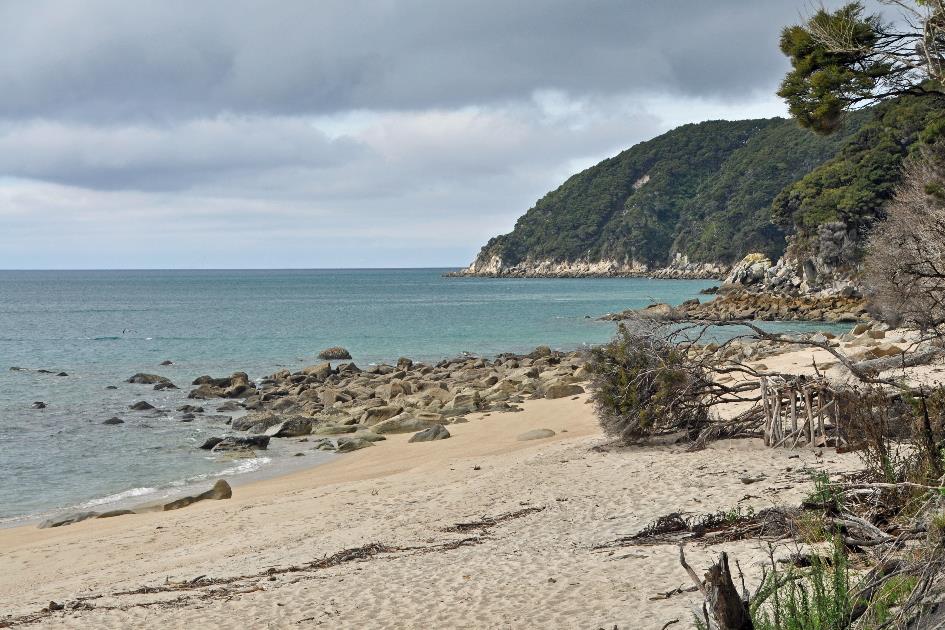 D:\DataFoto\Foto's - Reizen\2019-03-07 Nieuw-Zeeland\13 Abel Tasman NP\Best Of\NWZL1689y.jpg