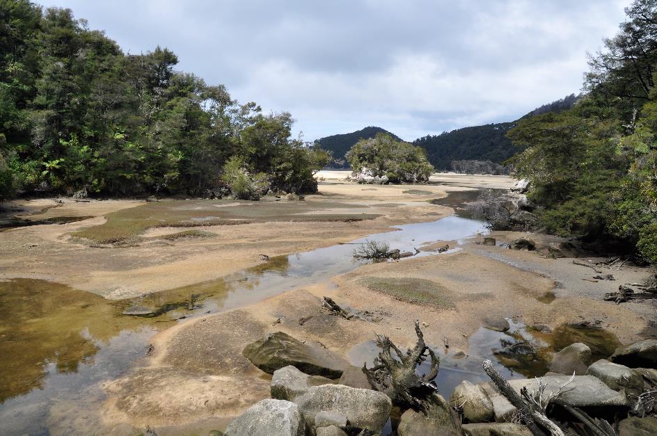 D:\DataFoto\Foto's - Reizen\2019-03-07 Nieuw-Zeeland\13 Abel Tasman NP\Best Of\NWZL1740x.jpg