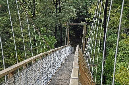 D:\DataFoto\Foto's - Reizen\2019-03-07 Nieuw-Zeeland\12 Pelorus Bridge\Best Of\NWZL1514y.jpg