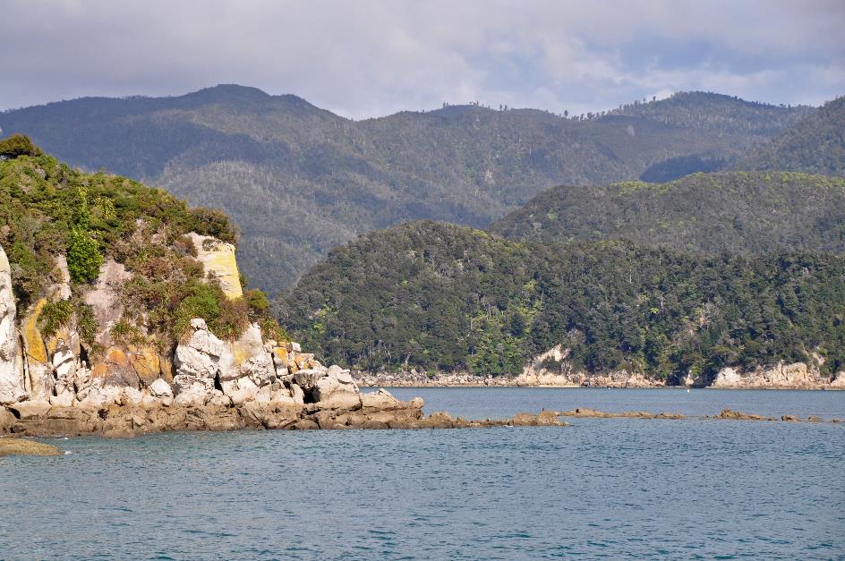 D:\DataFoto\Foto's - Reizen\2019-03-07 Nieuw-Zeeland\13 Abel Tasman NP\Best Of\NWZL1631y0.jpg