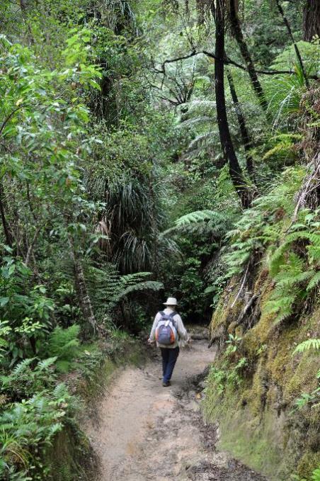 D:\DataFoto\Foto's - Reizen\2019-03-07 Nieuw-Zeeland\13 Abel Tasman NP\Best Of\NWZL1713x.jpg