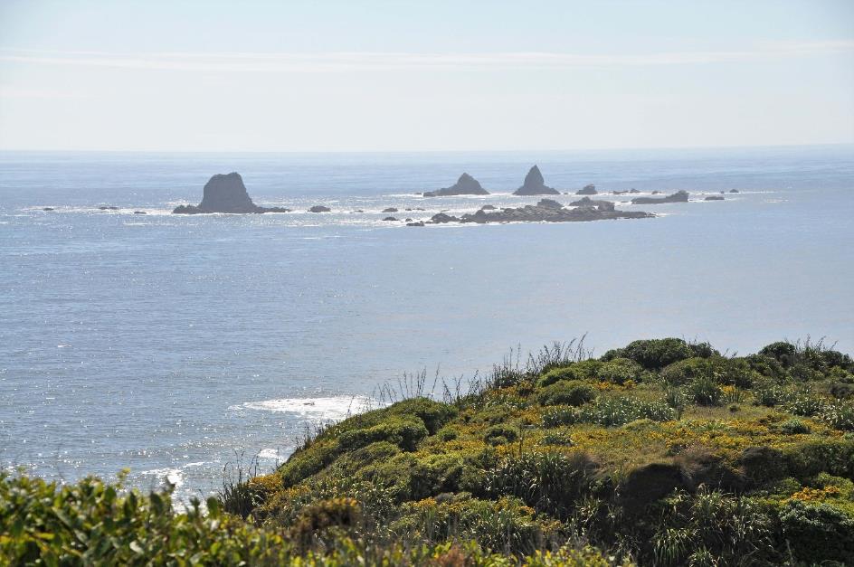 D:\DataFoto\Foto's - Reizen\2019-03-07 Nieuw-Zeeland\15 Cape Foulwind\Best Of\NWZL1827x.jpg