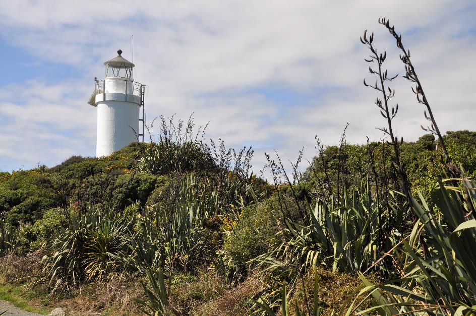 D:\DataFoto\Foto's - Reizen\2019-03-07 Nieuw-Zeeland\15 Cape Foulwind\Best Of\NWZL1834x.jpg