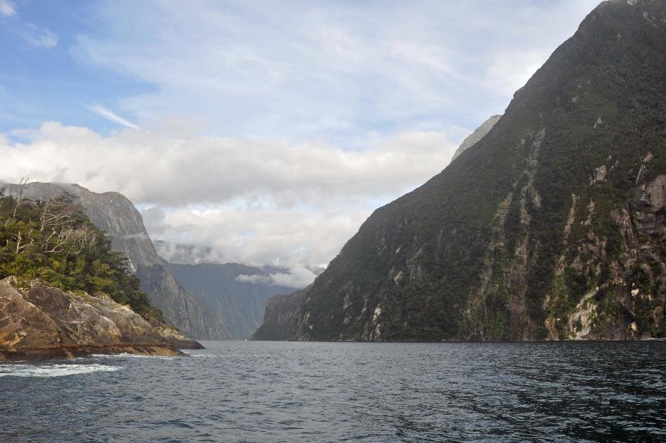 D:\DataFoto\Foto's - Reizen\2019-03-07 Nieuw-Zeeland\33 Milford Sound\Best Of\NWZL3714x.jpg