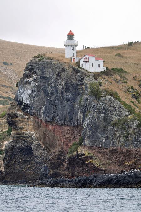 D:\DataFoto\Foto's - Reizen\2019-03-07 Nieuw-Zeeland\35 Dunedin Cruise\Best Of\NWZL4003x.jpg