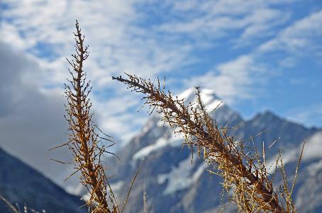 D:\DataFoto\Foto's - Reizen\2019-03-07 Nieuw-Zeeland\40 Hooker Valley Track\Best Of\NWZL4441y.jpg