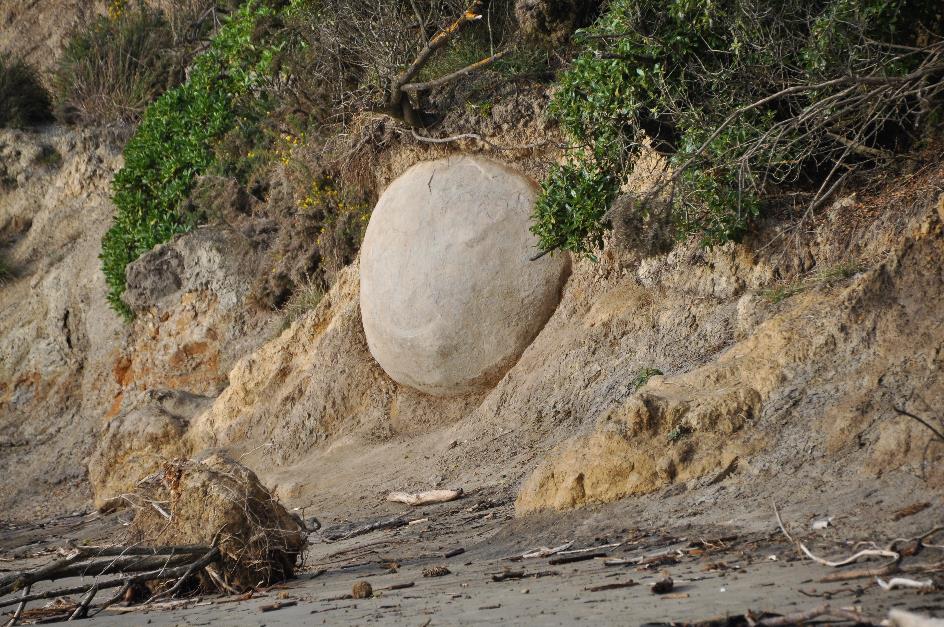 D:\DataFoto\Foto's - Reizen\2019-03-07 Nieuw-Zeeland\38 Moeraki Boulders\Best Of\NWZL4324x.jpg