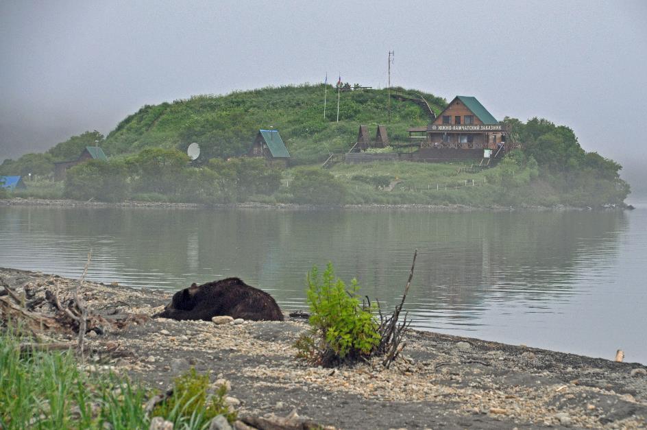 D:\DataFoto\Foto's - Reizen\2019-07-24 Kamtsjatka (herschikt)\13 Koerilenmeer - Platform 3\Best Of\KAMT1969y.jpg