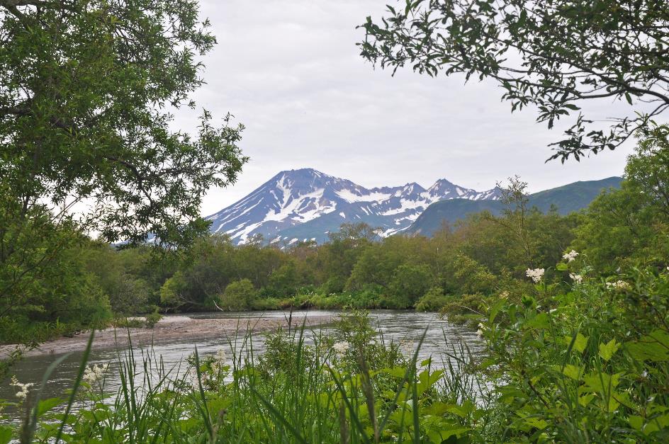 D:\DataFoto\Foto's - Reizen\2019-07-24 Kamtsjatka (herschikt)\09 Koerilenmeer - Wandeling 1\Best Of\KAMT0999y.jpg