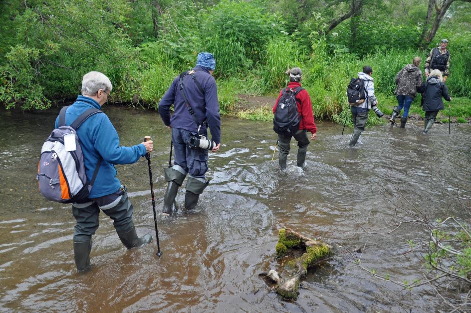 D:\DataFoto\Foto's - Reizen\2019-07-24 Kamtsjatka (herschikt)\09 Koerilenmeer - Wandeling 1\Best Of\KAMT1013y.jpg