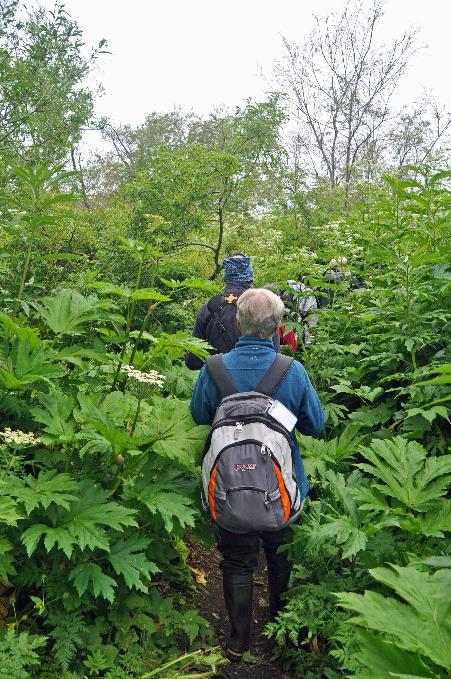 D:\DataFoto\Foto's - Reizen\2019-07-24 Kamtsjatka (herschikt)\09 Koerilenmeer - Wandeling 1\Best Of\KAMT1015y.jpg