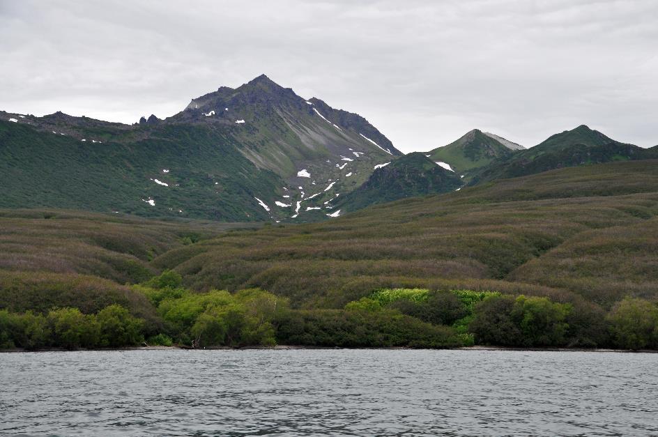 D:\DataFoto\Foto's - Reizen\2019-07-24 Kamtsjatka (herschikt)\11 Koerilenmeer - Boottocht\Best Of\KAMT1322y.jpg