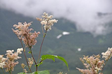 D:\DataFoto\Foto's - Reizen\2019-07-24 Kamtsjatka (herschikt)\18 Rit naar Paratoenka\Best Of\KAMT3292y.jpg