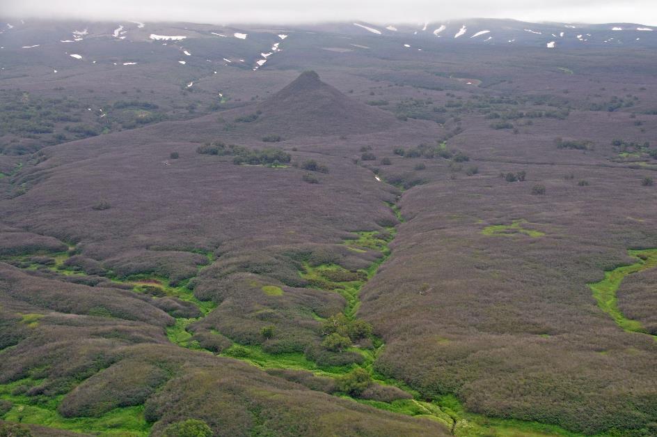 D:\DataFoto\Foto's - Reizen\2019-07-24 Kamtsjatka (herschikt)\14 Vlucht naar Moetnovski\Best Of\KAMT2477y.jpg