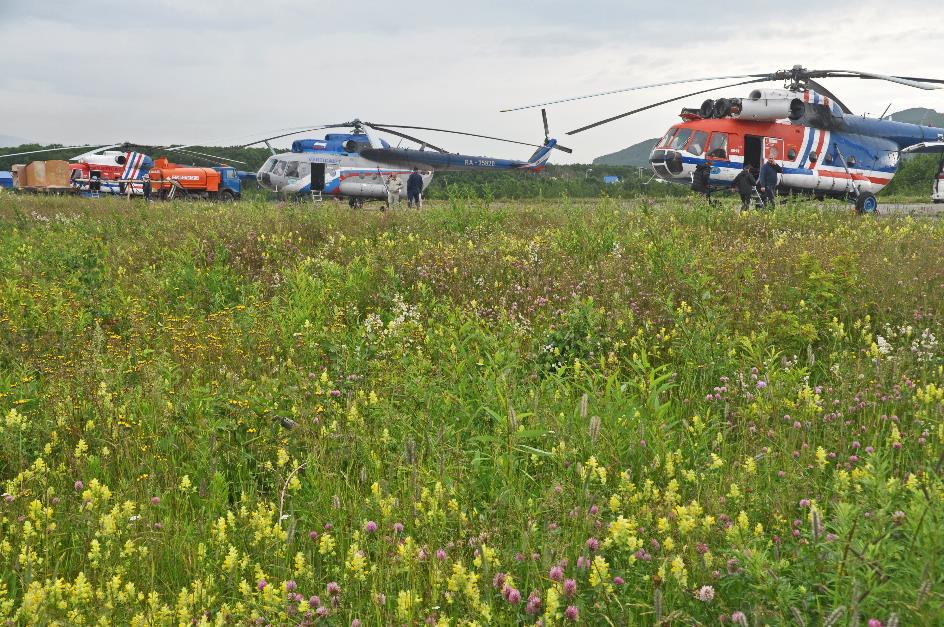 D:\DataFoto\Foto's - Reizen\2019-07-24 Kamtsjatka (herschikt)\20 Aeroport Chalaktirka\Best Of\KAMT4050y.jpg