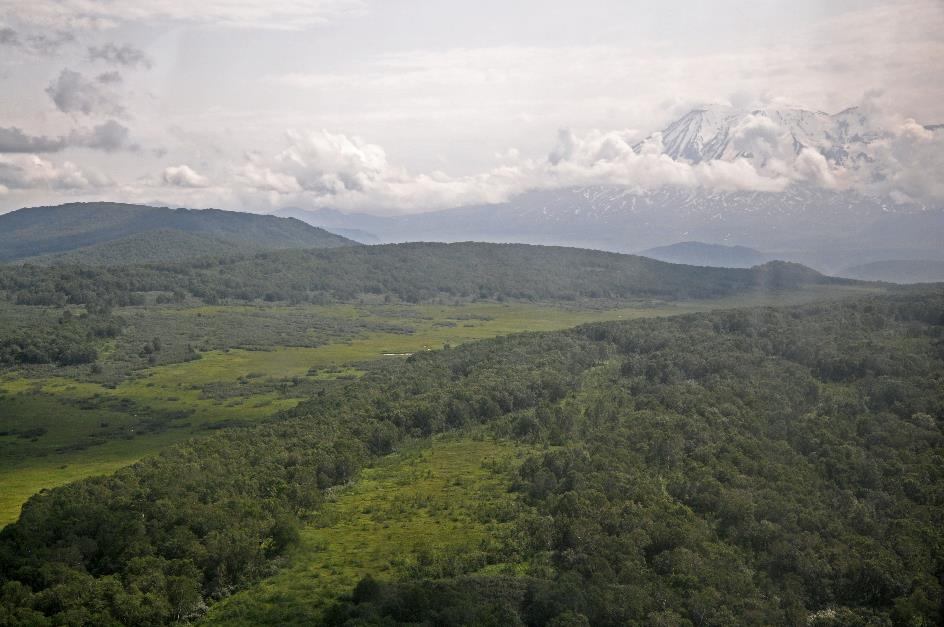 D:\DataFoto\Foto's - Reizen\2019-07-24 Kamtsjatka (herschikt)\25 Vlucht naar Dzendzoer\Best Of\KAMT4540y.jpg