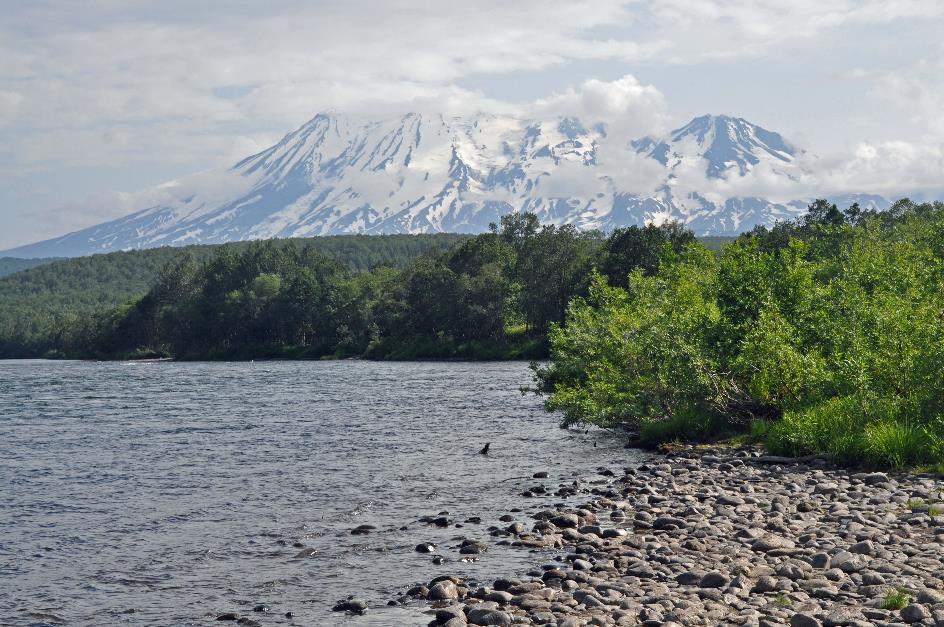 D:\DataFoto\Foto's - Reizen\2019-07-24 Kamtsjatka (herschikt)\26 Dzendzoer\Best Of\KAMT4599y.jpg