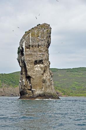 D:\DataFoto\Foto's - Reizen\2019-07-24 Kamtsjatka (herschikt)\19 Petropavlovsk - Boottocht\1900 Best Of\KAMT3539y.jpg