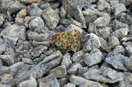 D:\DataFoto\Foto's - Reizen\2023-08-13 Noordwestelijke Doorvaart\33 Beechey Island\Best Of\NWD_3333y.jpg