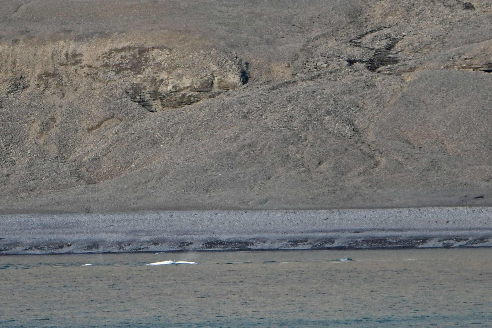 D:\DataFoto\Foto's - Reizen\2023-08-13 Noordwestelijke Doorvaart\33 Beechey Island\Best Of\NWD_3303y.jpg