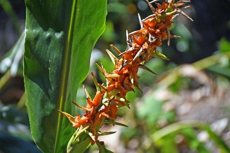D:\DataFoto\Foto's - Reizen\2023-10-16 La Reunion\28 Naar Cilaos\Best Of\REU_1490y.jpg